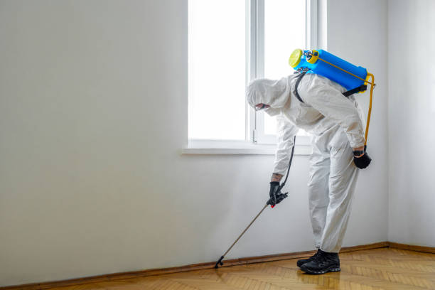 Best Pest Control Near Me in Imperial, NE