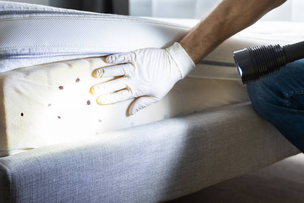 Best Pest Inspection Near Me  in Imperial, NE