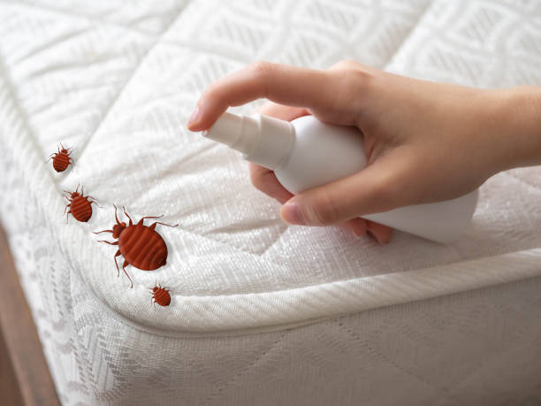 Best Best Pest Control Companies  in Imperial, NE