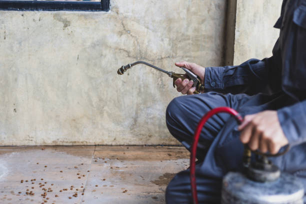 Best Termite Control Services  in Imperial, NE